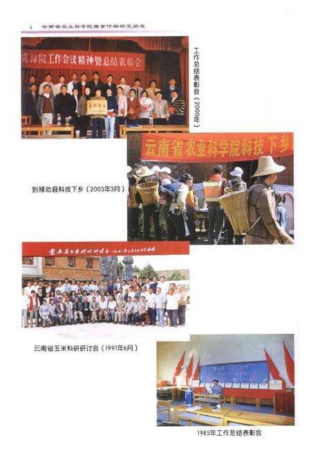 《《粮食作物研究所志(1979~2005)》》.pdf_云南省志预览图5