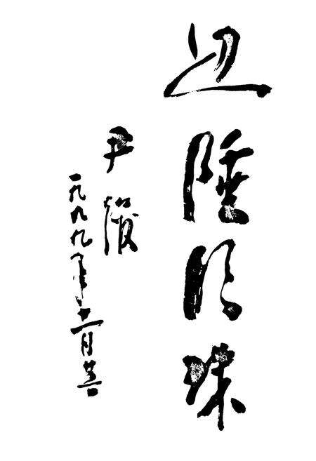 《《瑞丽市人民代表大会志(1950.5-1998.2)》》.pdf_云南省志预览图1