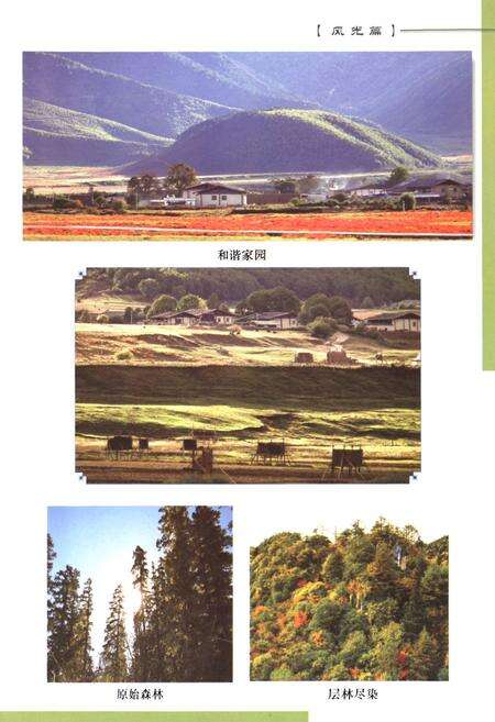 《《香格里拉县小中甸镇志》》.pdf_云南省志预览图5