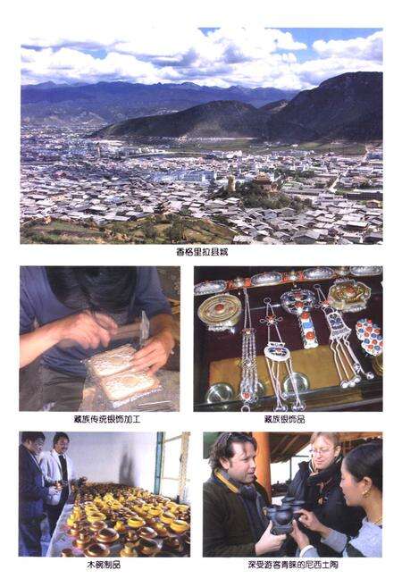 《《香格里拉县工业志(1978-2008)》》.pdf_云南省志预览图4