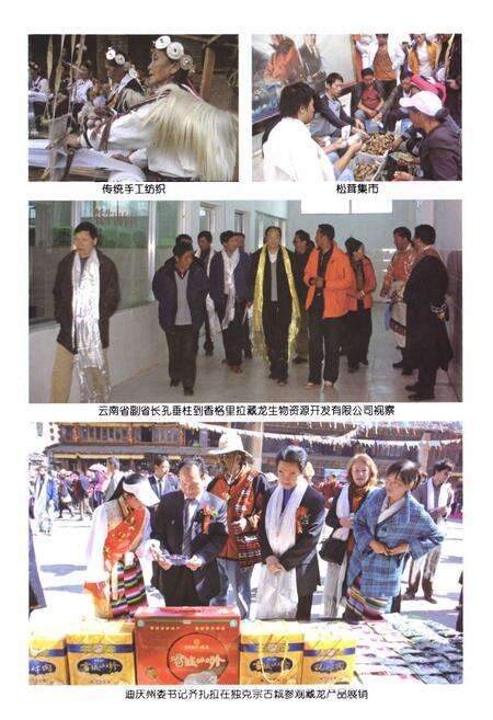 《《香格里拉县工业志(1978-2008)》》.pdf_云南省志预览图5