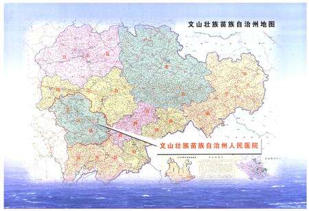 《《文山壮族 苗族 自治州人民医院志(1950-2008)》》.pdf_云南省志预览图4