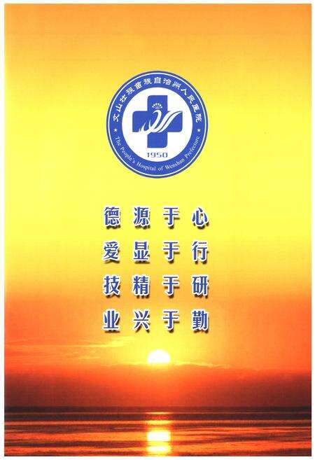 《《文山壮族 苗族 自治州人民医院志(1950-2008)》》.pdf_云南省志预览图5