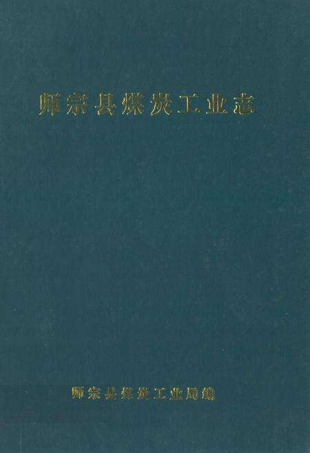 《师宗县煤炭工业志》.pdf_云南省志缩略图