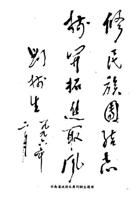 《巍山彝族回族自治县政协志》.pdf_云南省志预览图3