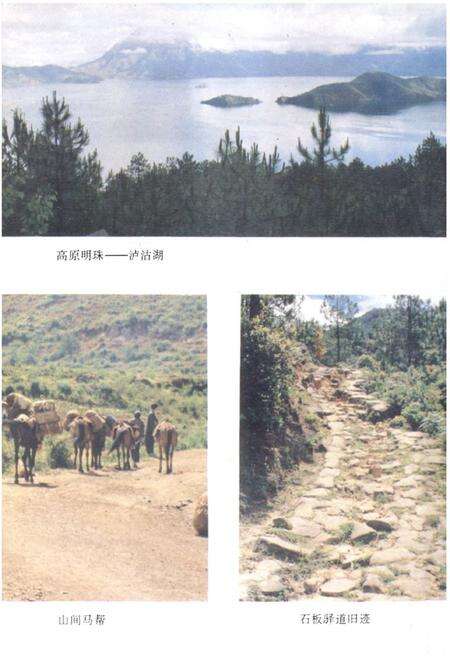 《宁蒗彝族自治县交通志》.pdf_云南省志预览图4