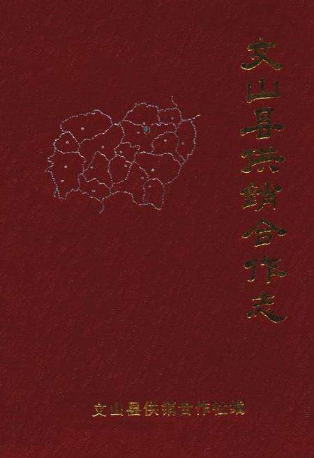 《文山县供销合作社志》.pdf_云南省志缩略图