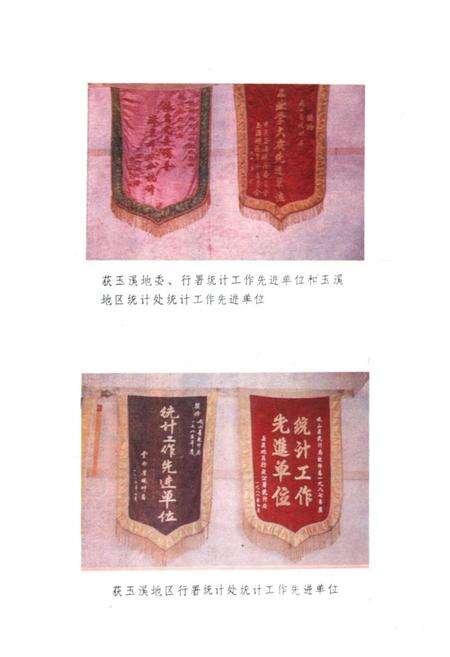 《《峨山彝族自治县统计志》》.pdf_云南省志预览图5