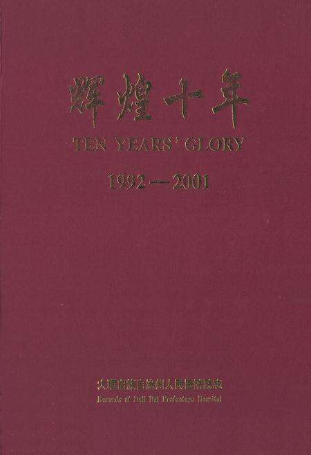 《辉煌十年(1992-2001)》.pdf_云南省志缩略图