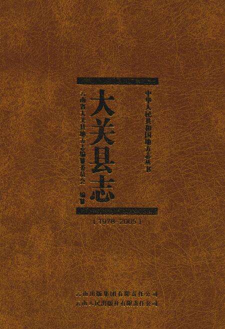 《《大关县志(1978-2005)》》.pdf_云南省志缩略图