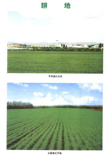 《《呈贡县国土资源志(1998-2007)》》.pdf_云南省志预览图5