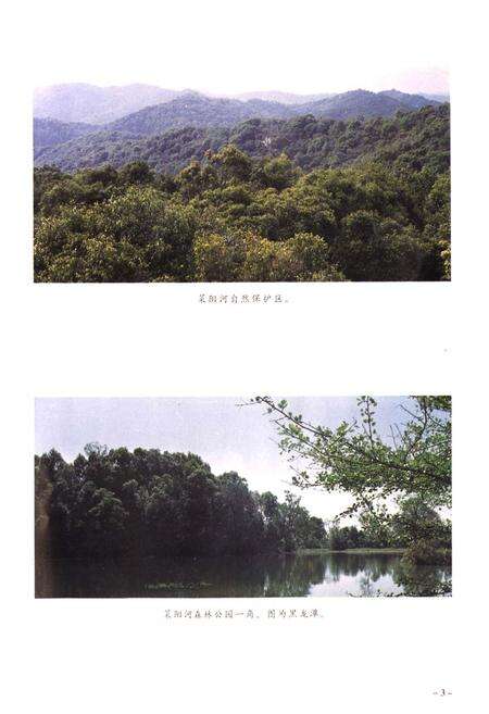 《思茅地区林业志》.pdf_云南省志预览图5