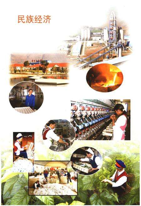 《《鹤庆县民族志》》.pdf_云南省志预览图5