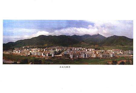 《《镇沅彝族哈尼族拉祜族自治县民政志》》.pdf_云南省志预览图3