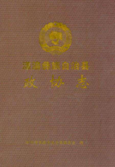 《《漾濞彝族自治县政协志》》.pdf_云南省志缩略图