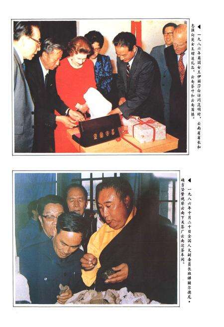 《云南省茶叶进出口公司志(1938-1990年)》.pdf_云南省志预览图5