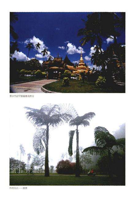 《《西双版纳烟草志》》.pdf_云南省志预览图2