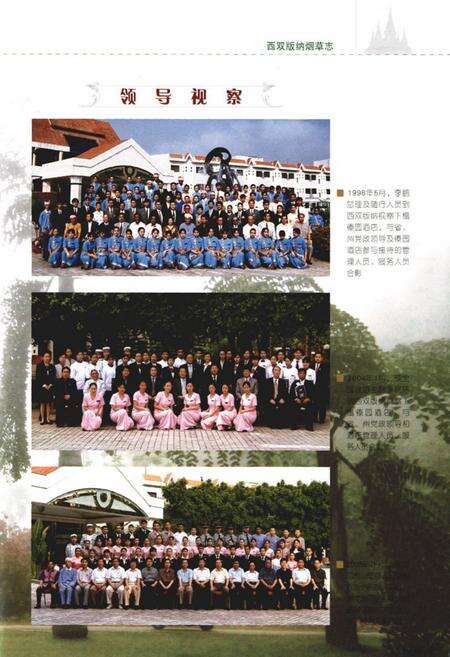 《《西双版纳烟草志》》.pdf_云南省志预览图4