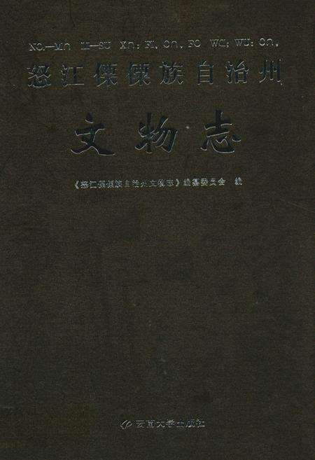 《《怒江傈傈族自治州文物志》》.pdf_云南省志缩略图
