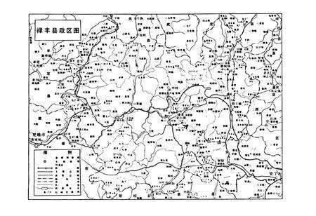 《禄丰县广播电视志》.pdf_云南省志预览图5