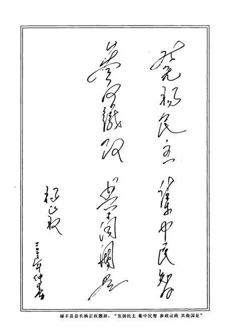 《禄丰县政协志(1950-2002)》.pdf_云南省志预览图5