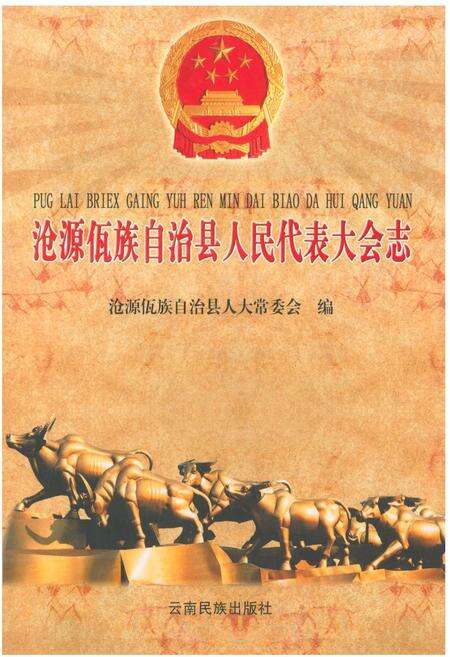 《沧源佤族自治县人民代表大会志》.pdf_云南省志缩略图