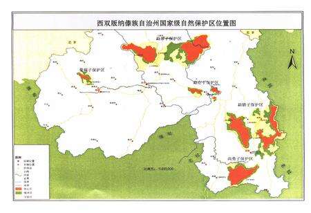 《西双版纳傣族自治州林业志(1978~2005)》.pdf_云南省志预览图3