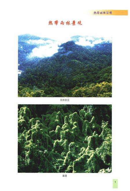 《西双版纳傣族自治州林业志(1978~2005)》.pdf_云南省志预览图4