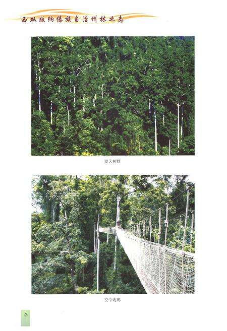 《西双版纳傣族自治州林业志(1978~2005)》.pdf_云南省志预览图5