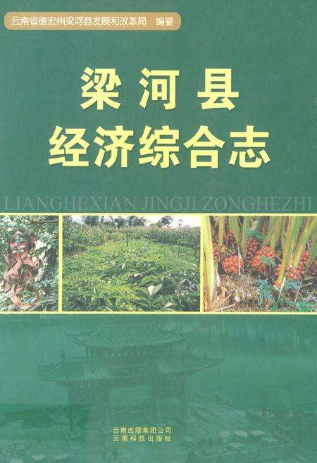 《梁河县经济综合志》.pdf_云南省志缩略图