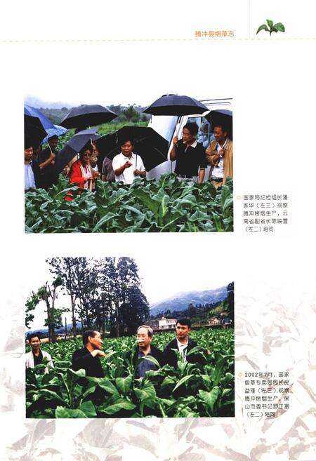 《腾冲县烟草志》.pdf_云南省志预览图4