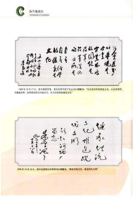 《红河集团志1985-2008》.pdf_云南省志预览图4