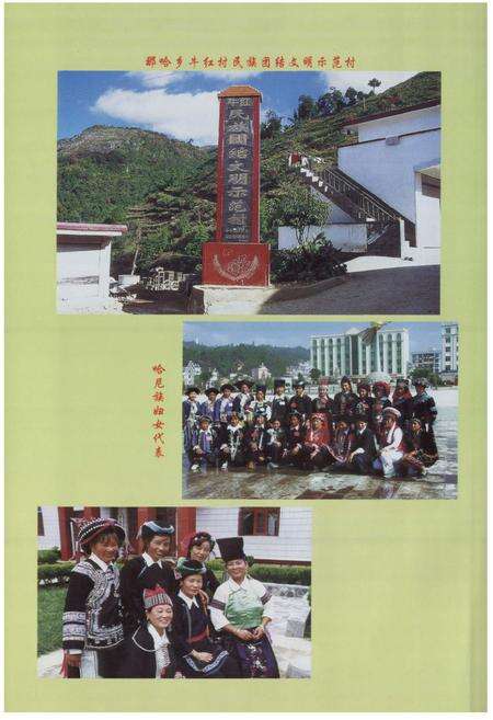 《墨江哈尼族自治县民族志(1950-2005)》.pdf_云南省志预览图3