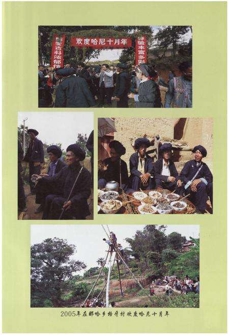 《墨江哈尼族自治县民族志(1950-2005)》.pdf_云南省志预览图4