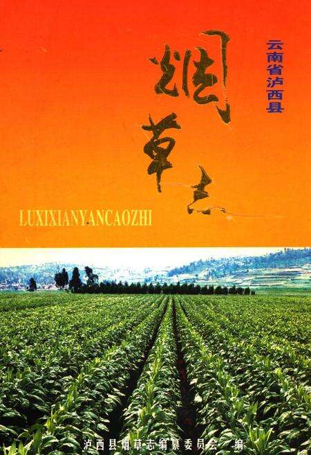 《《云南省卢西县烟草志》》.pdf_云南省志缩略图