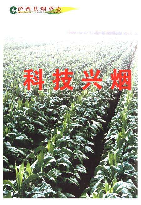 《《云南省卢西县烟草志》》.pdf_云南省志预览图3