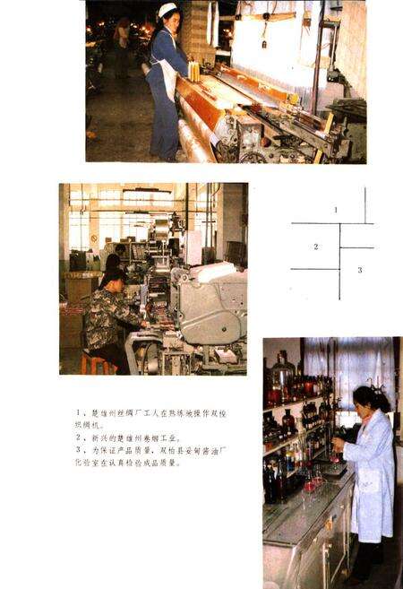 《楚雄彝族自治州科技志》.pdf_云南省志预览图4