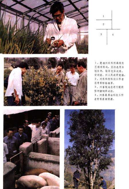 《楚雄彝族自治州科技志》.pdf_云南省志预览图5