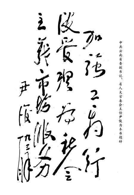 《大理白族自治州工商行政管理志》.pdf_云南省志预览图4