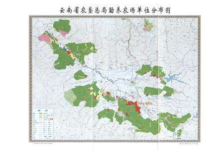 《勐养农场志(1957-2006)》.pdf_云南省志预览图5
