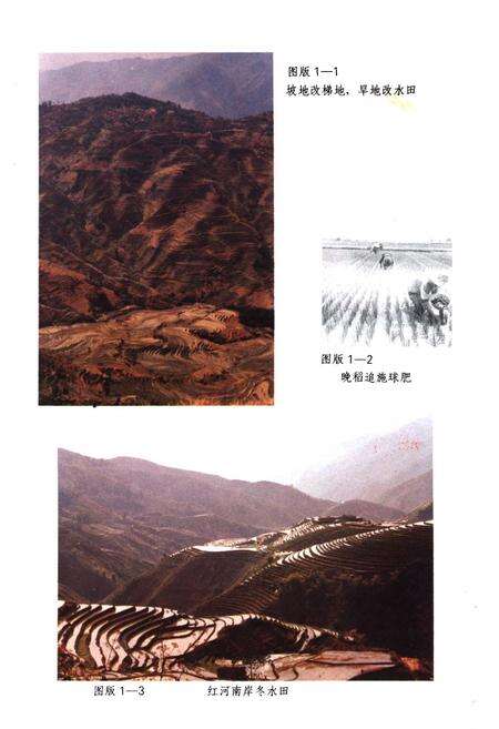 《红河州农牧业志》.pdf_云南省志预览图5