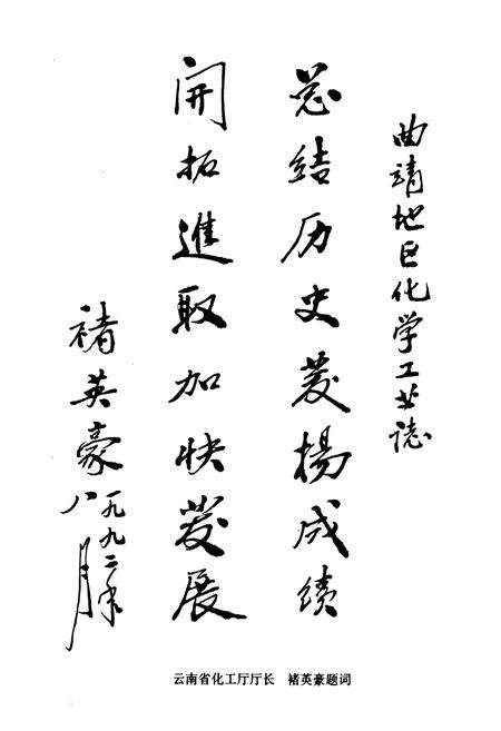 《曲靖地区化工志(1940-1990)》.pdf_云南省志预览图3