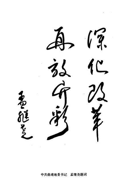 《曲靖地区化工志(1940-1990)》.pdf_云南省志预览图4