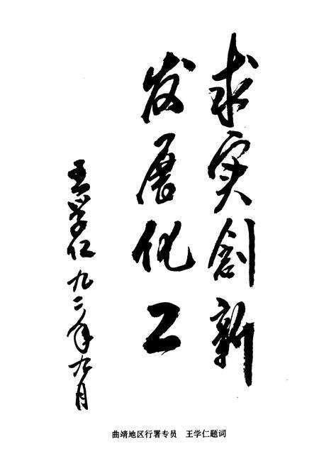 《曲靖地区化工志(1940-1990)》.pdf_云南省志预览图5