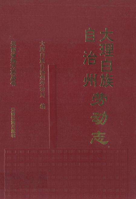《大理白族自治州劳动志》.pdf_云南省志缩略图