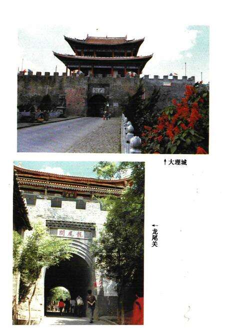 《《大理白族自治州交通志》》.pdf_云南省志预览图4