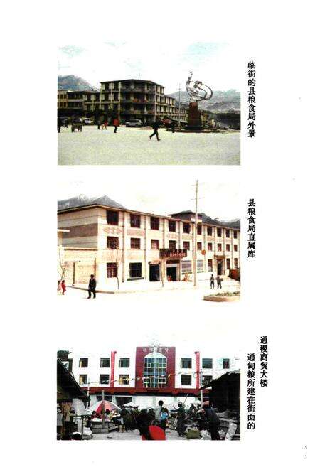 《《粮油志》》.pdf_云南省志预览图4