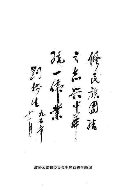 《《怒江傈傈族自治州政协志》》.pdf_云南省志预览图4