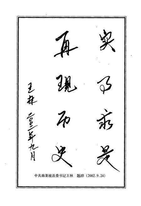 《《麻栗坡县政协志》》.pdf_云南省志预览图5