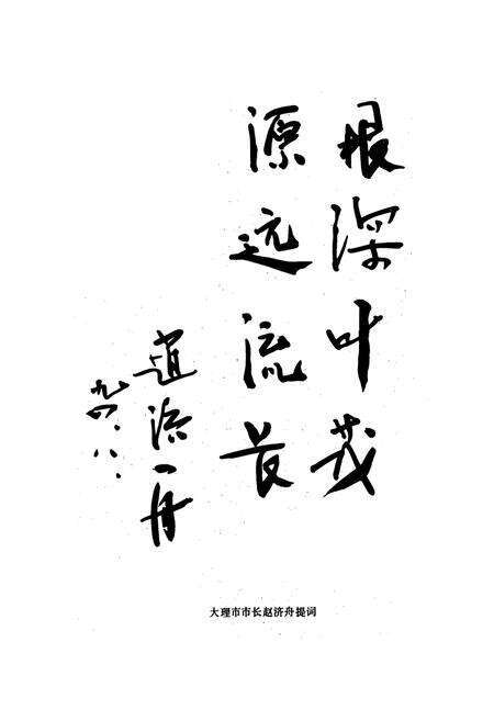 《《大理市财政志》》.pdf_云南省志预览图2